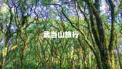 武當(dāng)山旅行