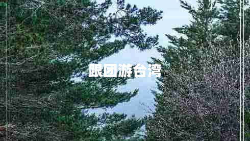 跟團(tuán)游臺(tái)灣