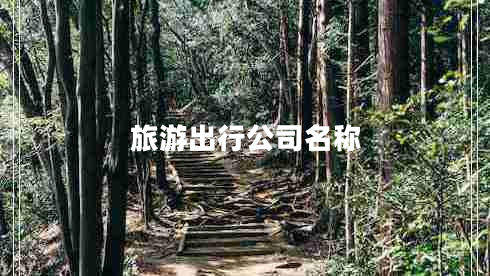 旅游出行公司名稱