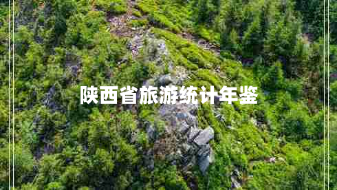 陜西省旅游統(tǒng)計年鑒