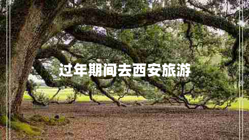 過年期間去西安旅游