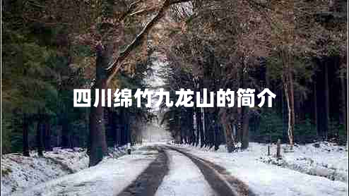 四川綿竹九龍山的簡介
