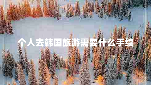 個人去韓國旅游需要什么手續(xù)
