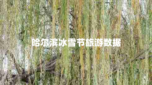 哈爾濱冰雪節(jié)旅游數(shù)據(jù)