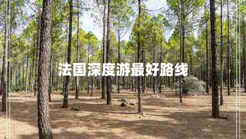 法國(guó)深度游最好路線