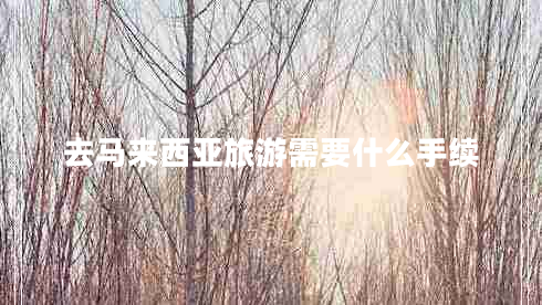 去馬來(lái)西亞旅游需要什么手續(xù)