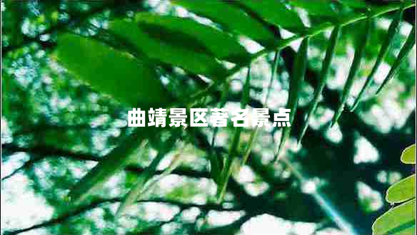 曲靖景區(qū)著名景點