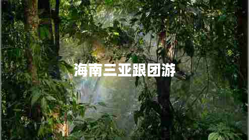 海南三亞跟團(tuán)游
