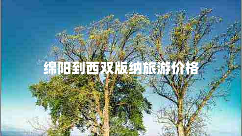 綿陽到西雙版納旅游價格