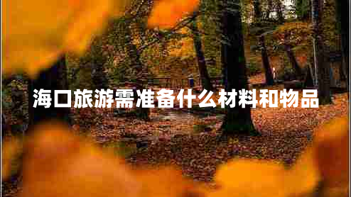 海口旅游需準(zhǔn)備什么材料和物品