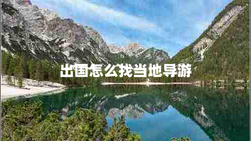 出國(guó)怎么找當(dāng)?shù)貙?dǎo)游
