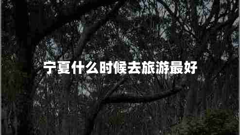 寧夏什么時候去旅游最好
