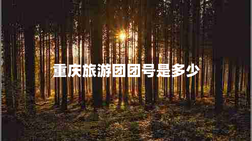 重慶旅游團(tuán)團(tuán)號(hào)是多少