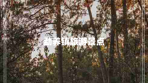 勐養(yǎng)鎮(zhèn)旅游景點(diǎn)