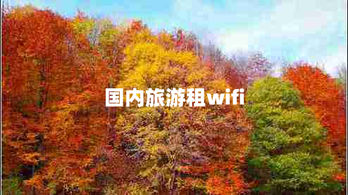 國內(nèi)旅游租wifi
