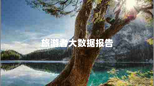 旅游者大數(shù)據(jù)報告