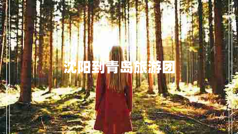 沈陽(yáng)到青島旅游團(tuán)