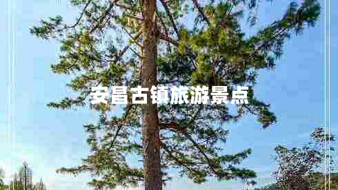 安昌古鎮(zhèn)旅游景點(diǎn)