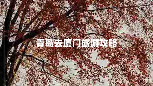 青島去廈門旅游攻略