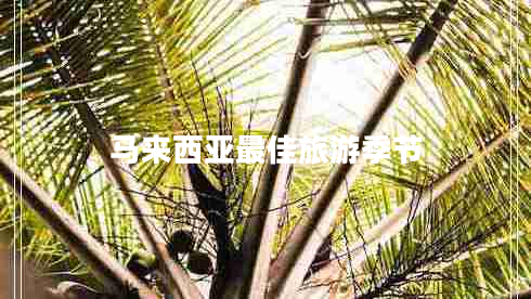 馬來(lái)西亞最佳旅游季節(jié)