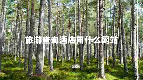 旅游查詢酒店用什么網站