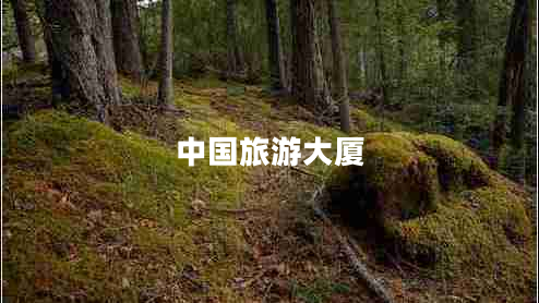 中國旅游大廈