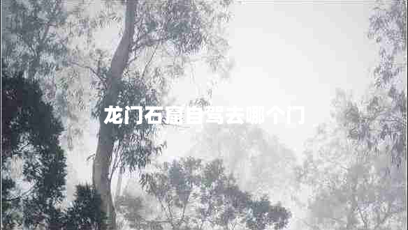 龍門石窟自駕去哪個(gè)門