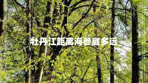 牡丹江距離海參崴多遠(yuǎn)