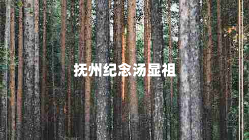 撫州紀(jì)念湯顯祖