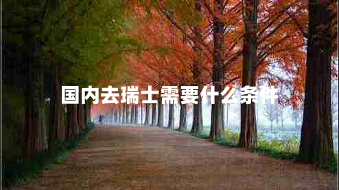 國內(nèi)去瑞士需要什么條件