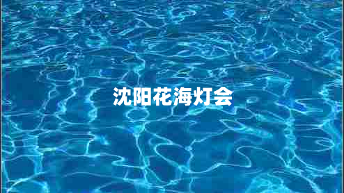 沈陽花海燈會