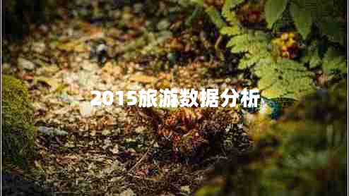 2015旅游數(shù)據(jù)分析