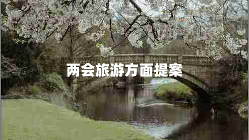兩會旅游方面提案