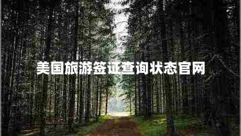 美國旅游簽證查詢狀態(tài)官網(wǎng)