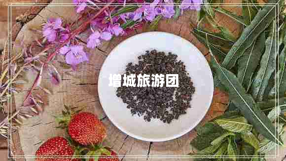 增城旅游團(tuán)