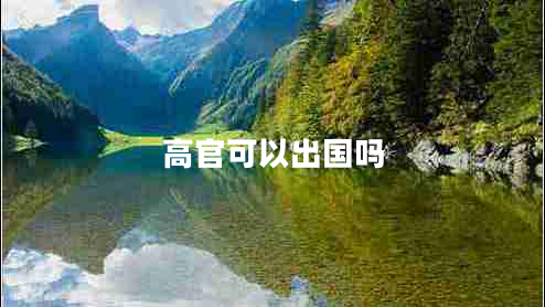 高官可以出國(guó)嗎