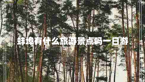 蚌埠有什么旅游景點嗎一日游