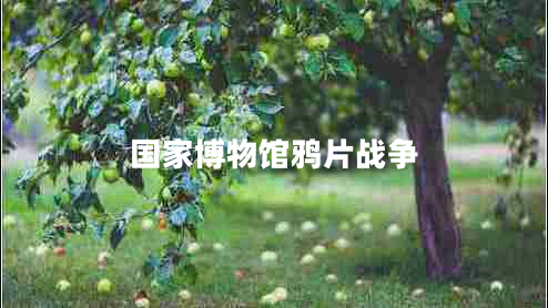 國家博物館鴉片戰(zhàn)爭