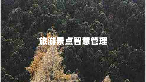 旅游景點智慧管理