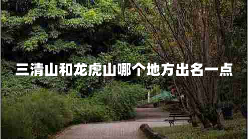 三清山和龍虎山哪個地方出名一點(diǎn)