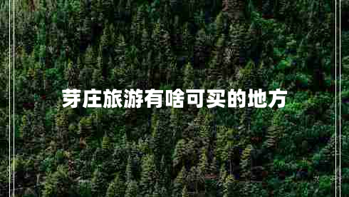 芽莊旅游有啥可買的地方