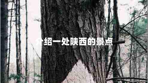 介紹一處陜西的景點