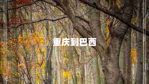 重慶到巴西