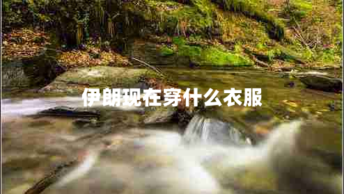 伊朗現(xiàn)在穿什么衣服