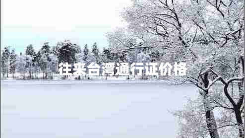 往來臺灣通行證價格