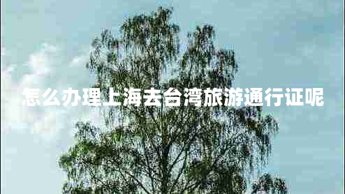 怎么辦理上海去臺灣旅游通行證呢