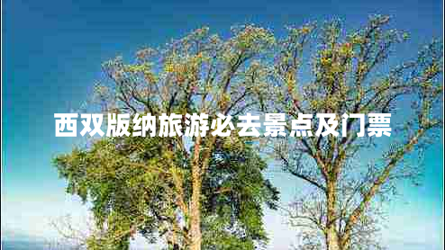 西雙版納旅游必去景點(diǎn)及門票