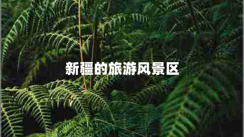 新疆的旅游風(fēng)景區(qū)