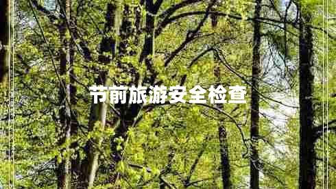 節(jié)前旅游安全檢查