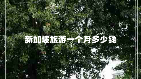 新加坡旅游一個月多少錢
